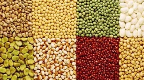  Affordable sale of cereals; Farmers are in trouble as intercrops are not being registered