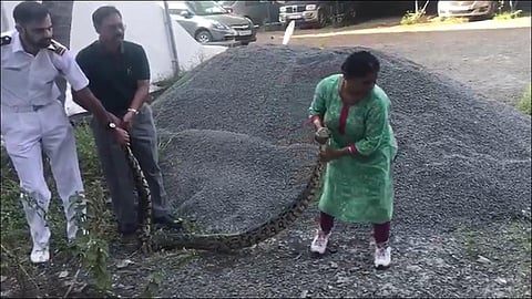kerala women rescues live python form kochi