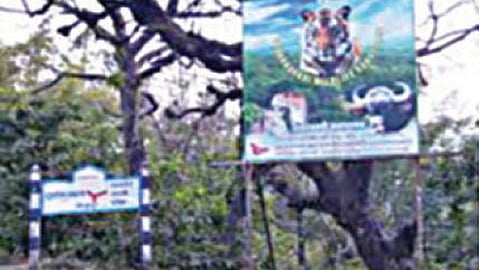 Action  against teachers in Radhanagari Sanctuary
