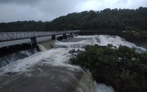 Again the two automatic gates of Radhanagari opened
