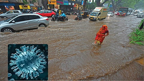  आधीच कोरोना, त्यात पावसाळी साथरोग पसरल्यास होईल "ही" अडचण!
