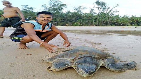 youngsters saved the life of a tortoise trapped in a fishing net on ganeshgule beach