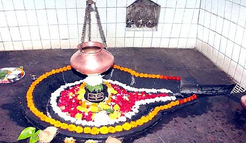 Kashivishveshwar Temple Bhajan in five people Namasaptha will be held in 30 places