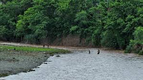 river