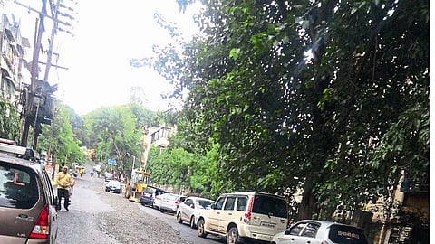 road 11.JPG