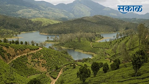 yelagiri hill station