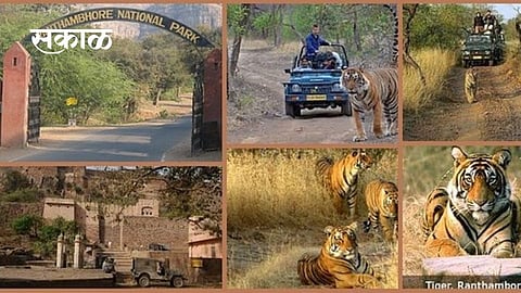 ranthambore