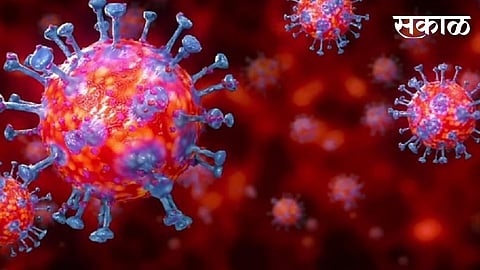 Danger is increasing in Sangli; 35 new patients, 31 coronary free