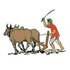 sallgadi