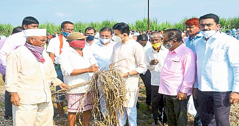  Compensation of Rs 50,000 per acre by declaring wet drought: Samarjit Singh Ghatge