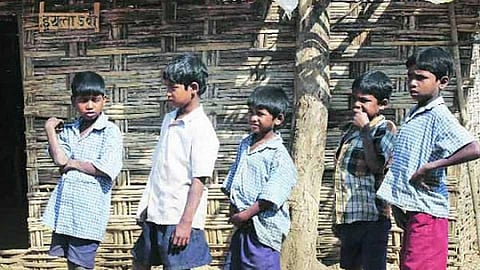 shala 1.jpg
