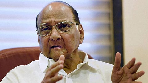 ...म्हणून विधानसभेत राष्ट्रवादीला फटका : शरद पवार