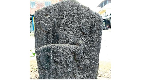 Historical Sting Or Harp Found In  Devrukha Kokan Marathi News