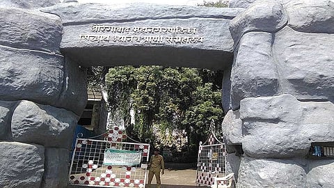 siddharth zoo