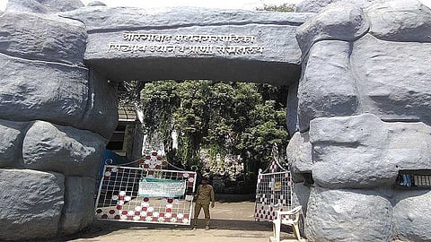 siddharth zoo