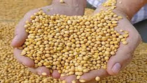Farmers are  being robbed from the soyabean shopping center