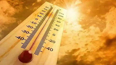 Heatstroke Victims in Maharashtra