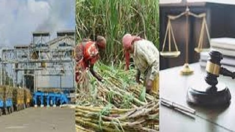 Crime on the sugar factory MD  kolhapur marathi news