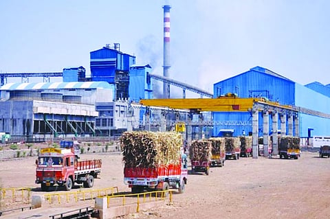  He will meet Sharad Pawar to start a sugar factory