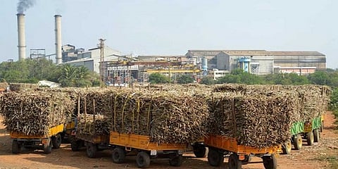 महिनाभरात लाखाहून अधिक टन उसाचे गाळप 