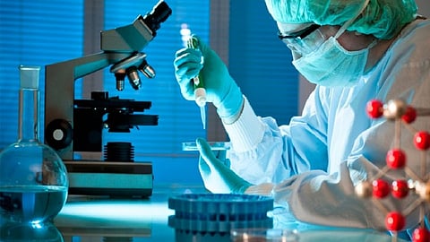 swab testing.jpg