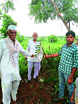 कोरोनाने शिकविले नैसर्गिक ऑक्सिजनचे महत्त्व, आणि झाडे लावण्याचा घेतला वसा ! 