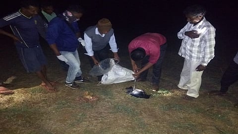 ten dead crows found in umbarde palsan area nashik marathi news