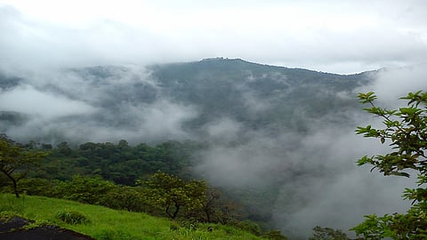 The Kodali-Tilarinagar Area Is Deserted Without Tourists Kolhapur Marathi News