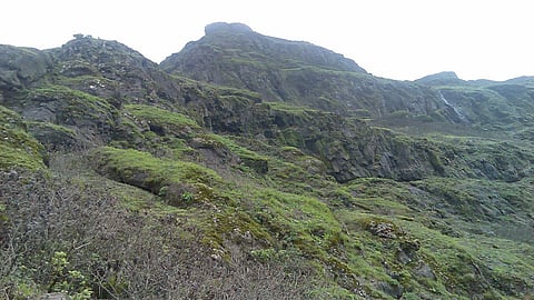 torna