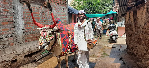 उमरेडः पोटापाण्याचा प्रश्‍न सोडविण्यासाठी नंदी घेऊन गावोगावी फिरणारा नंदीवाला.