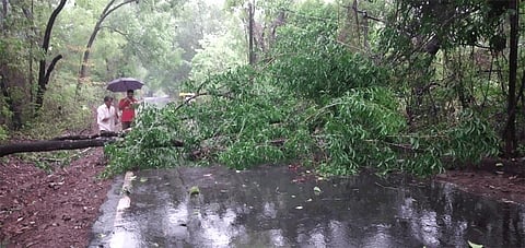 nisarga cyclone effect on sindhudurg district
