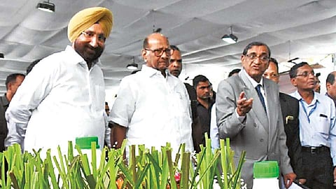 ऊस संशोधन संस्थांमध्ये गुंतवणूक वाढवावी - शरद पवार 