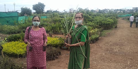 vruksh lagwad.jpg