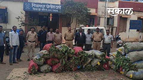 ओसाड डोंगराळ भागात फुलला होता अफुचा मळा; पोलिसांना खबर लागताच मारला छापा !