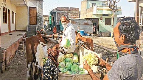 वालसावंगी ः बैलगाडीतून भाजीपाल्‍याची विक्री करताना शेतकरी भगवान कोथलकर.