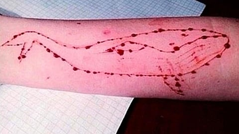 blue whale