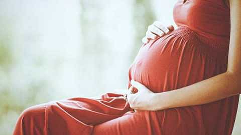 pregnancy
