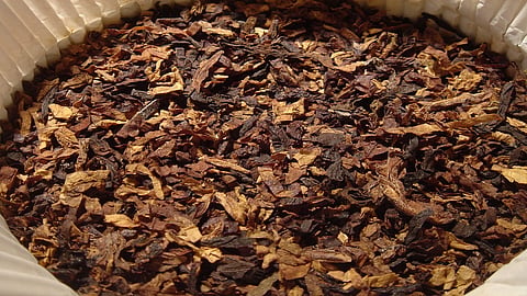 scented tobacco caught in yavatmal district 