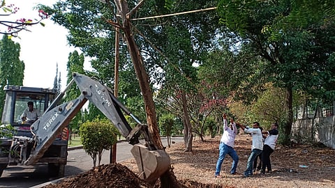 भोसरी परिसरात विजेचा खेळखंडोबा 