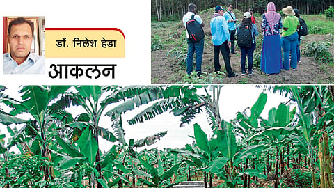 युगांडाची `क्लायमेट स्मार्ट` शेती