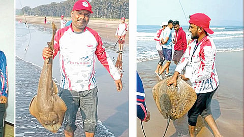 More than 10 KG Wagali Fish Win in Surf Fishing Competition 