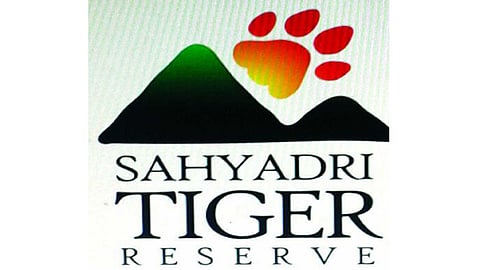 मायणी अभयारण्यासह 'सह्याद्री व्याघ्र' राखीव वनक्षेत्र; सात वनक्षेत्रांना वन्यजीव मंडळाची मान्यता