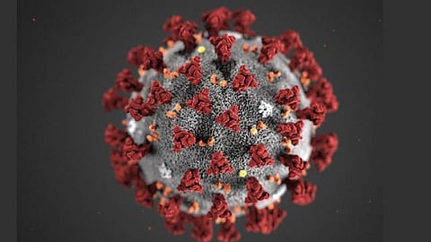 20coronavirus_105_0