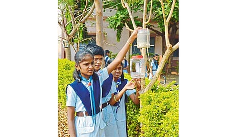 विसापूर - रा. शा. माने-पाटील विद्यालयात स्काऊट पथकांने पक्ष्यांना चारा-पाण्याची सोय केली. 