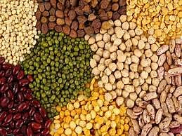 रेशनवर आता चना, उडीद डाळही नियमित मिळणार 