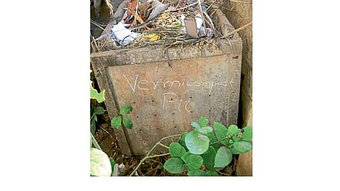  सांगली, मिरजेतील दोन हजार कुटुंबांकडून घरातच कचरा व्यवस्थापन