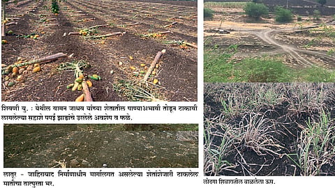 पावसाच्या अवकृपेमुळे हातची पिकं गेली