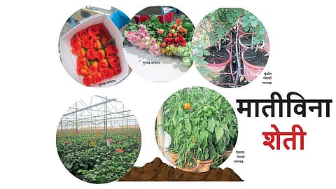 माती विना शेती