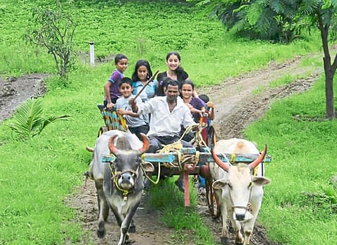 The state's agri-tourism policy came, just waiting for the help of the industry