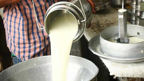 A five percent increase in milk collection.jpg